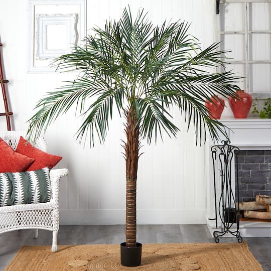 6ft. Potted Robellini Palm Tree